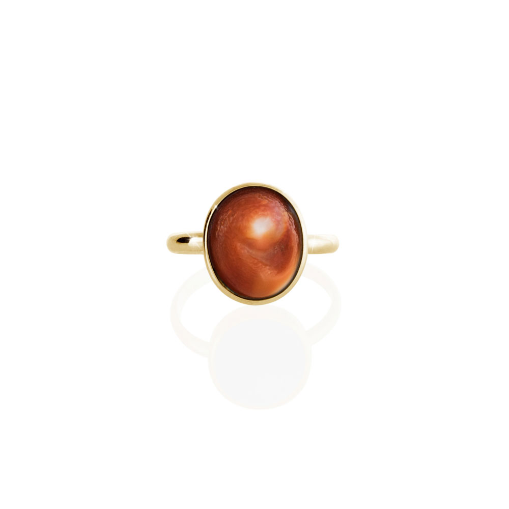 Lucky Yellow Gold Ring with a Natural Seashell, Eye of Saint Lucia