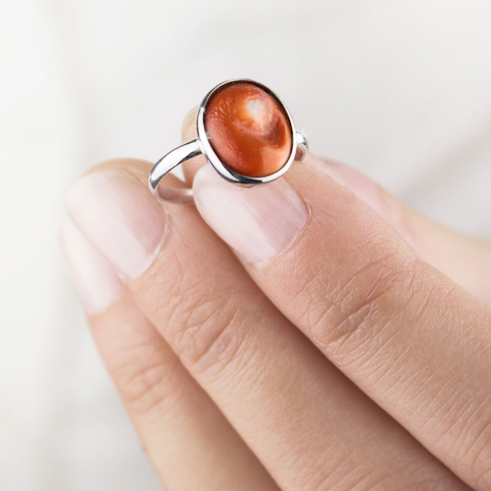Lucky White Gold Ring with a Natural Seashell, Eye of Saint Lucia
